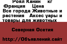 Роял Канин 20 кг Франция! › Цена ­ 3 520 - Все города Животные и растения » Аксесcуары и товары для животных   . Северная Осетия